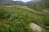 Tombstone territorial park